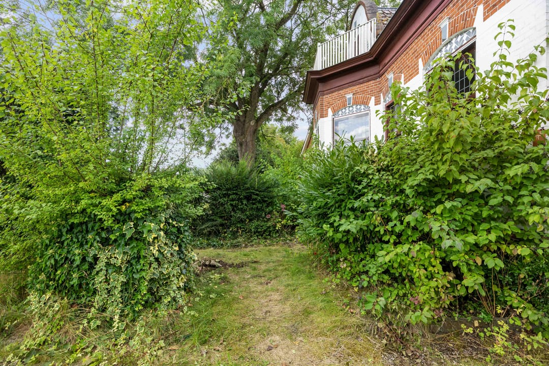 Photo 13 of Boterdiep Wz 62