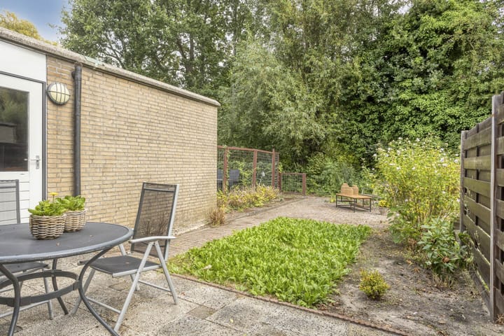Foto 5 van Plevier 37
