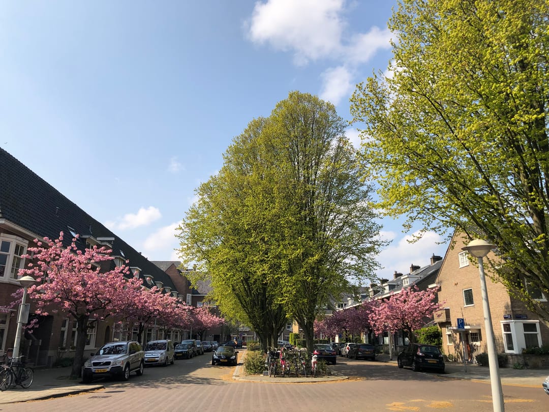 Foto 41 van Holbeinstraat 3-H