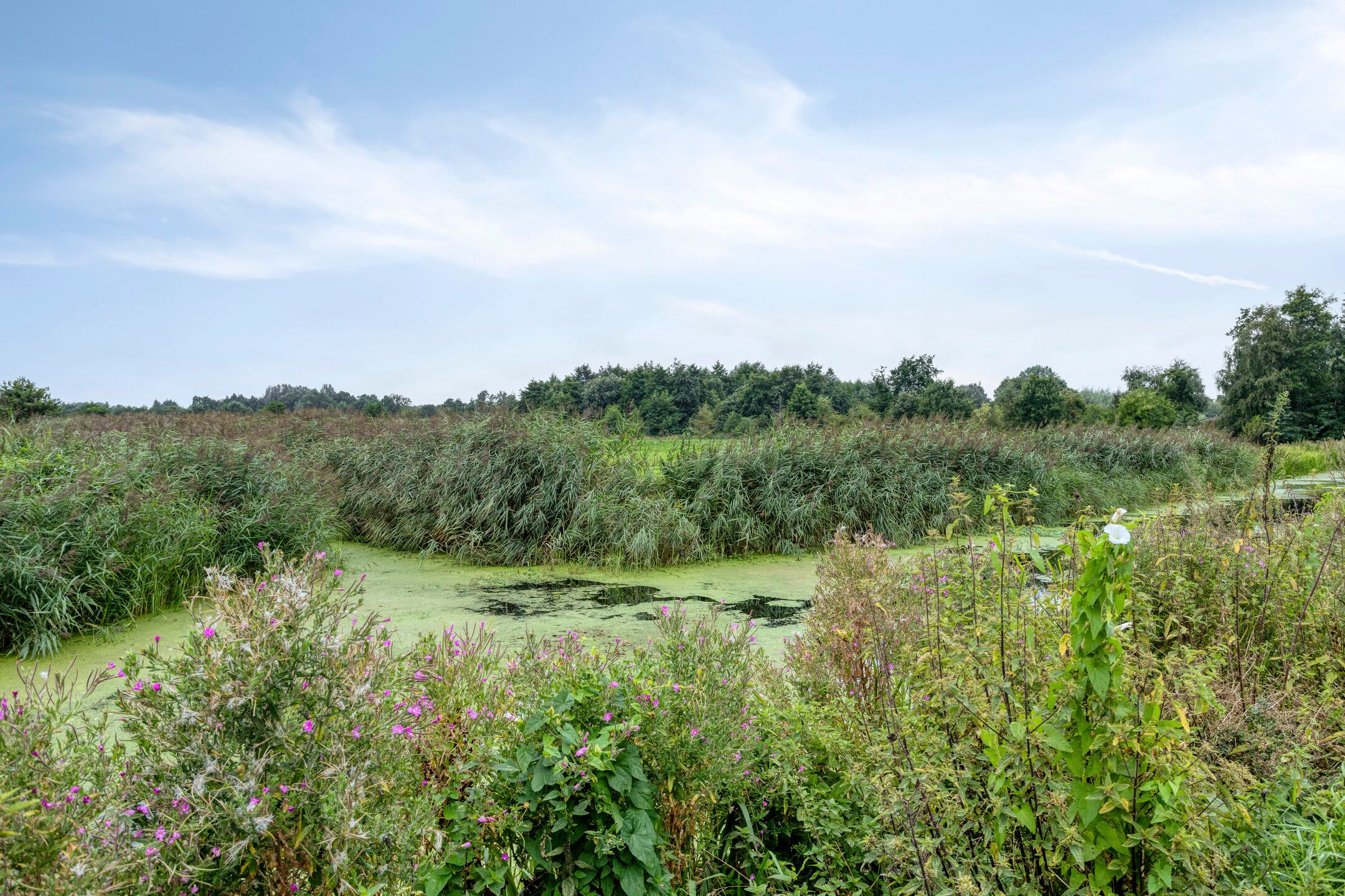 Photo 60 of Jonkersvaart 128