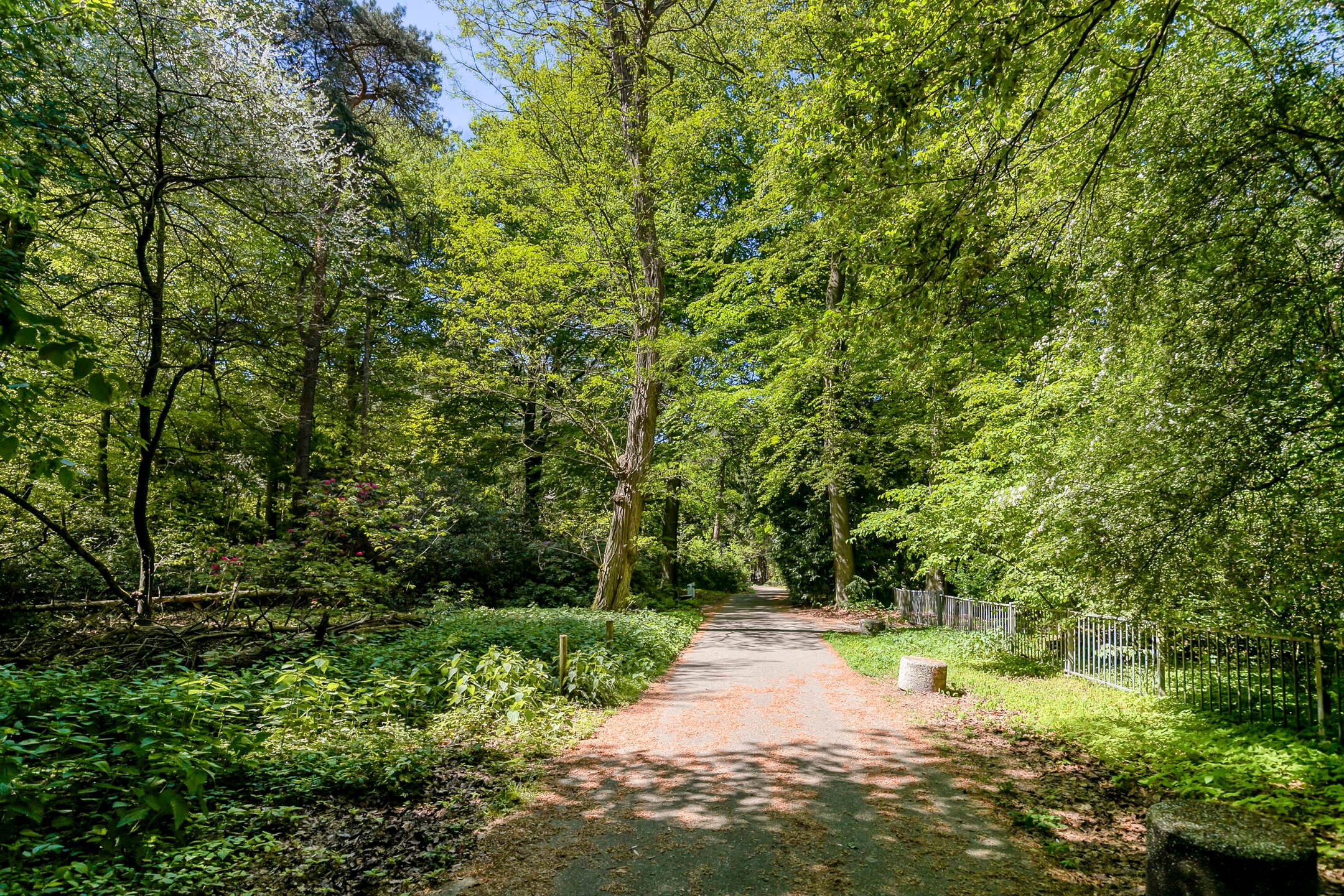 Photo 36 of Magentahof 63