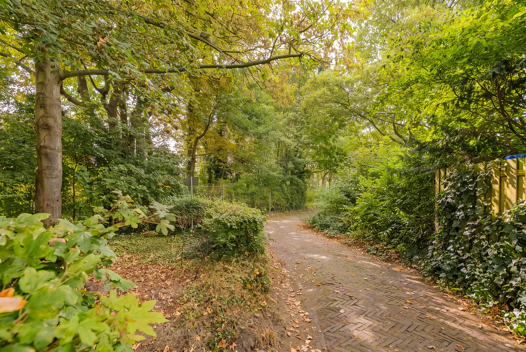 Photo 37 of Wüstelaan 52