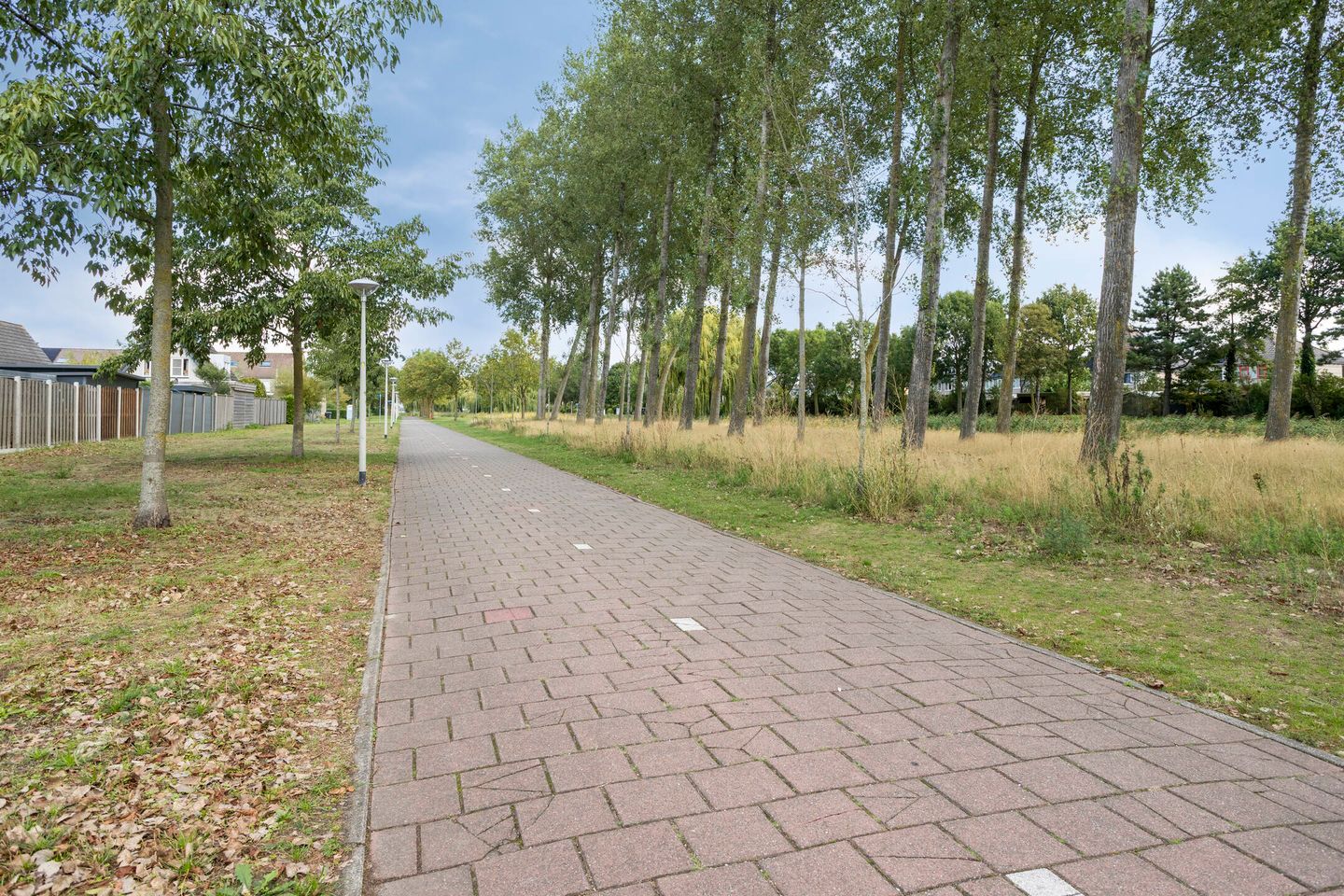 Foto 40 van Zuidland 5