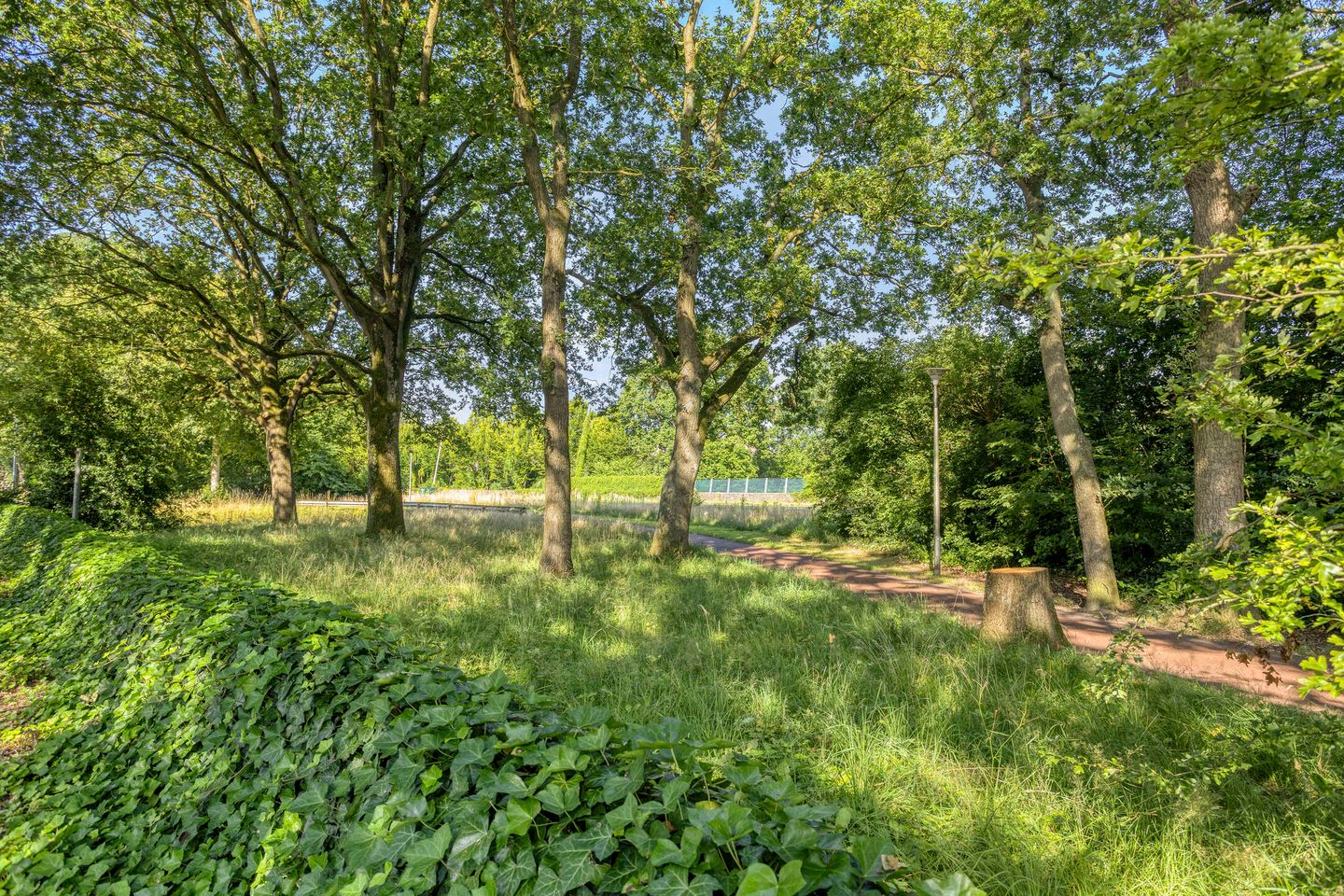 Foto 49 van Zuidenveld 30