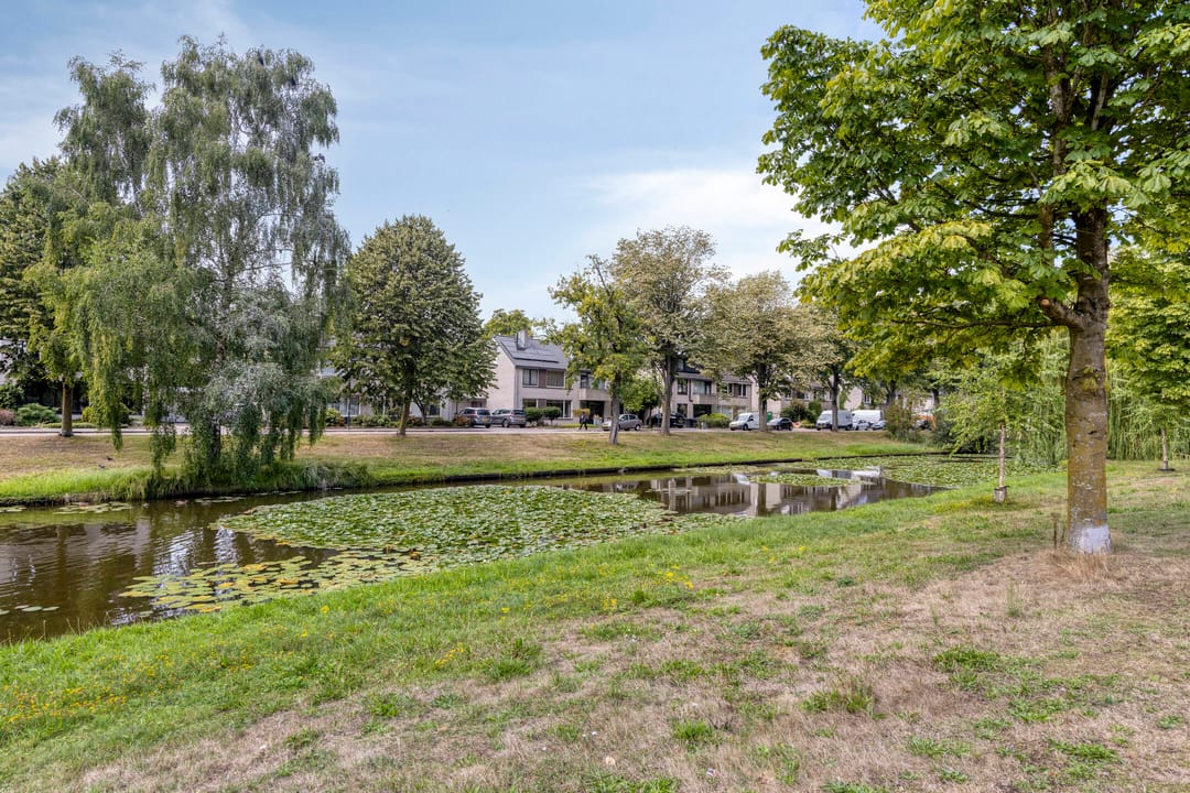 Photo 41 of Baroniesingel 21