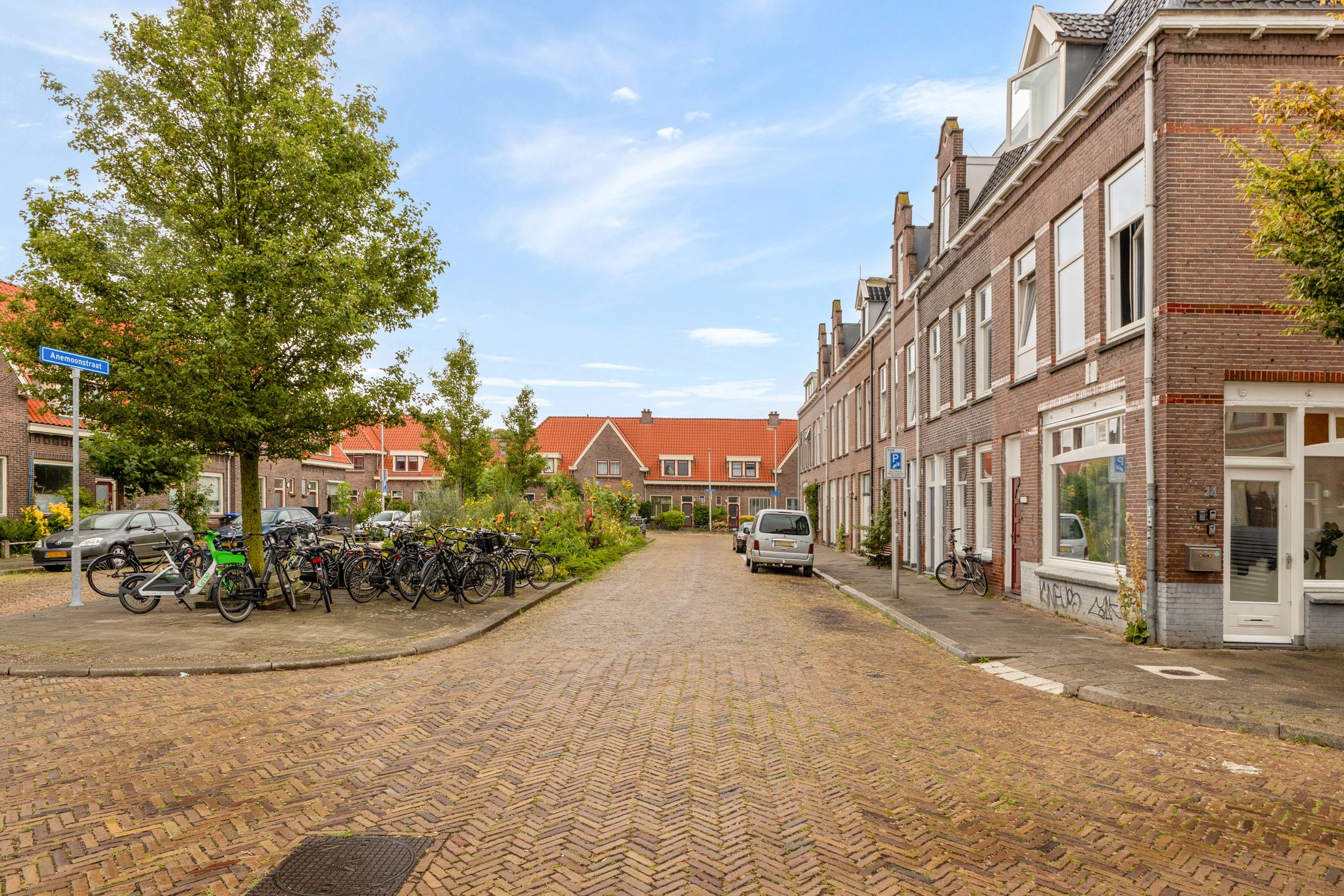 Foto 48 van Anemoonstraat 3-BS