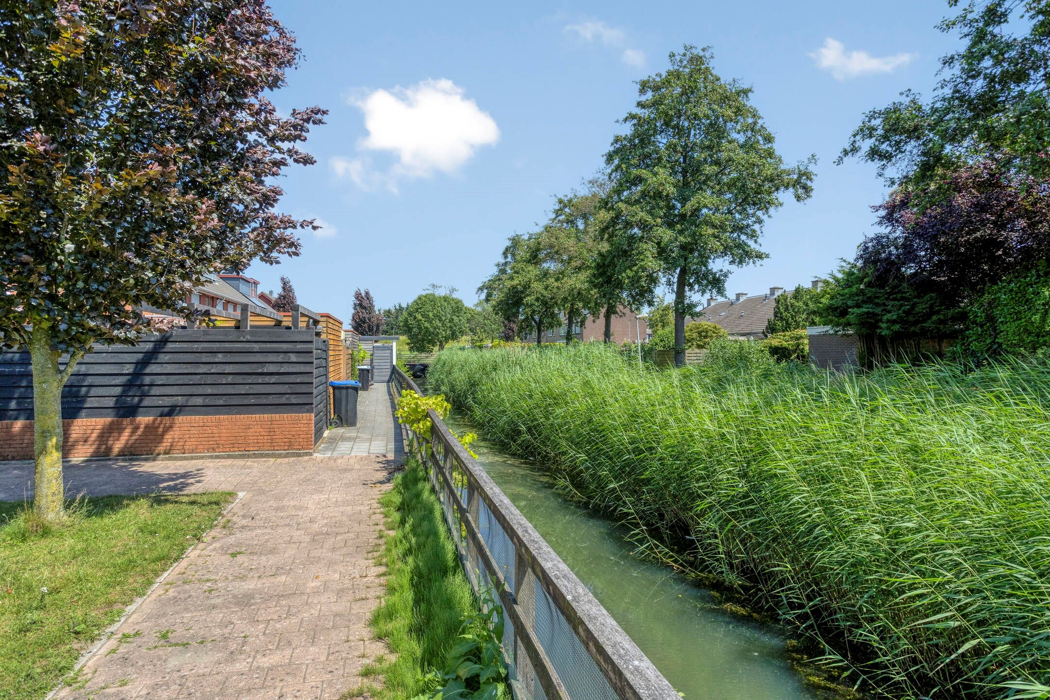 Photo 33 of Fonteinkruid 62