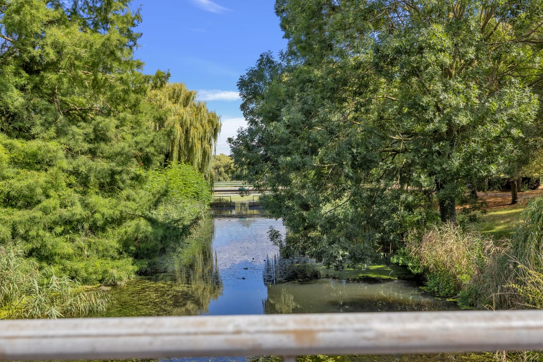 Photo 38 of Korenbloemweg 86