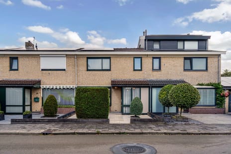 Willem Pijperstraat thumbnail