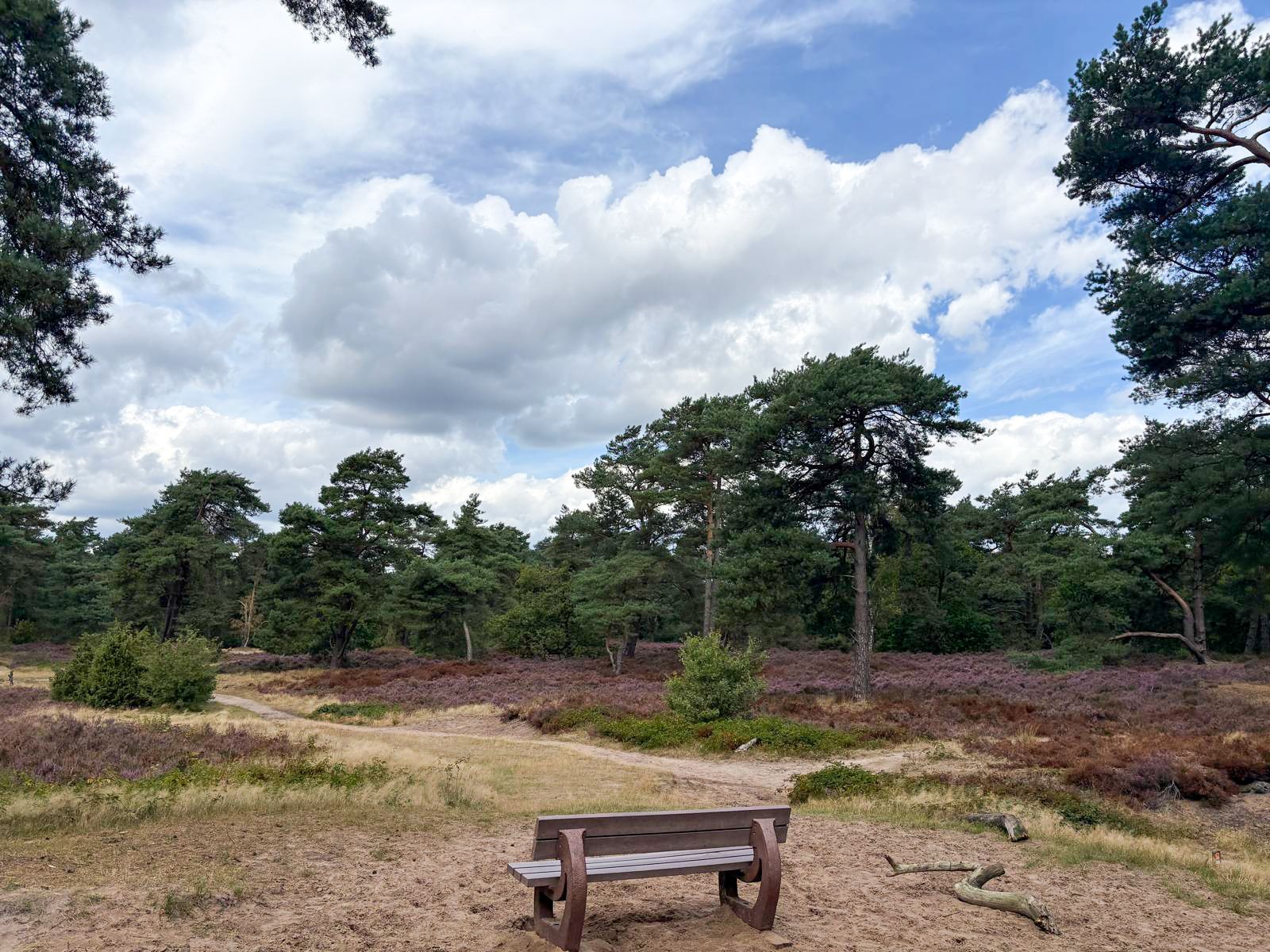 Foto 42 van Groenlinglaan 88