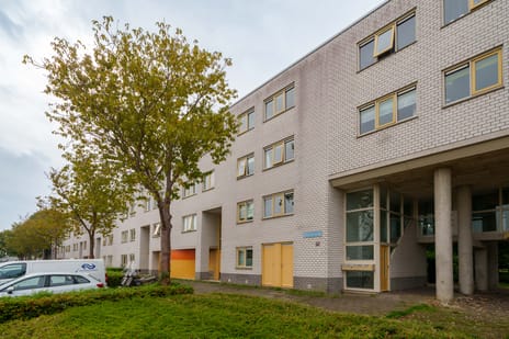 Mandolinestraat thumbnail