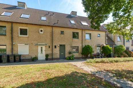 Amstelplantsoen thumbnail
