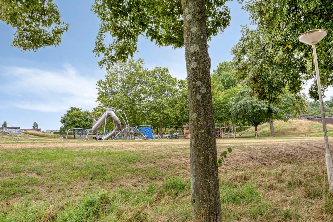 Photo 46 of Mahoniehout 8