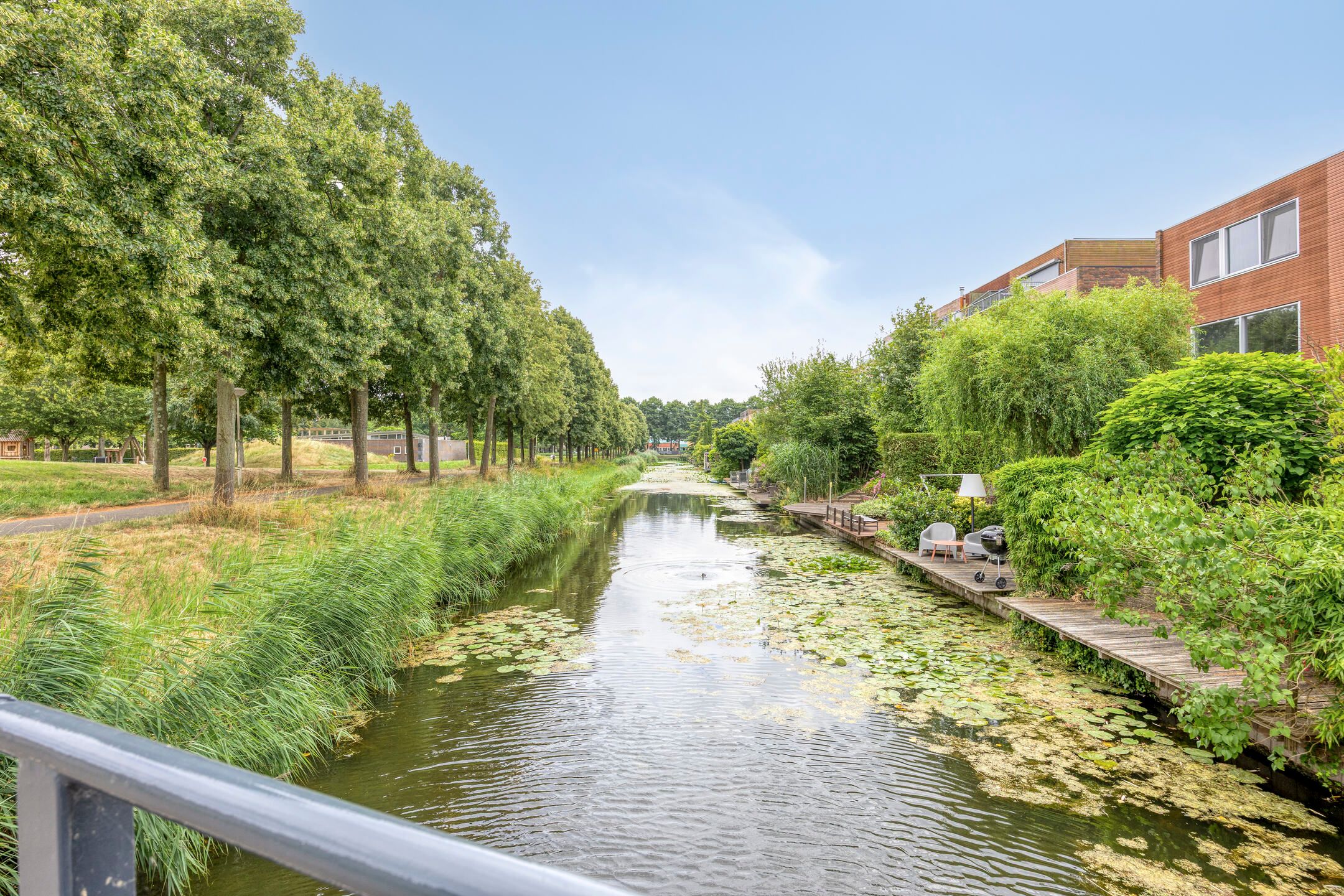 Photo 48 of Mahoniehout 8