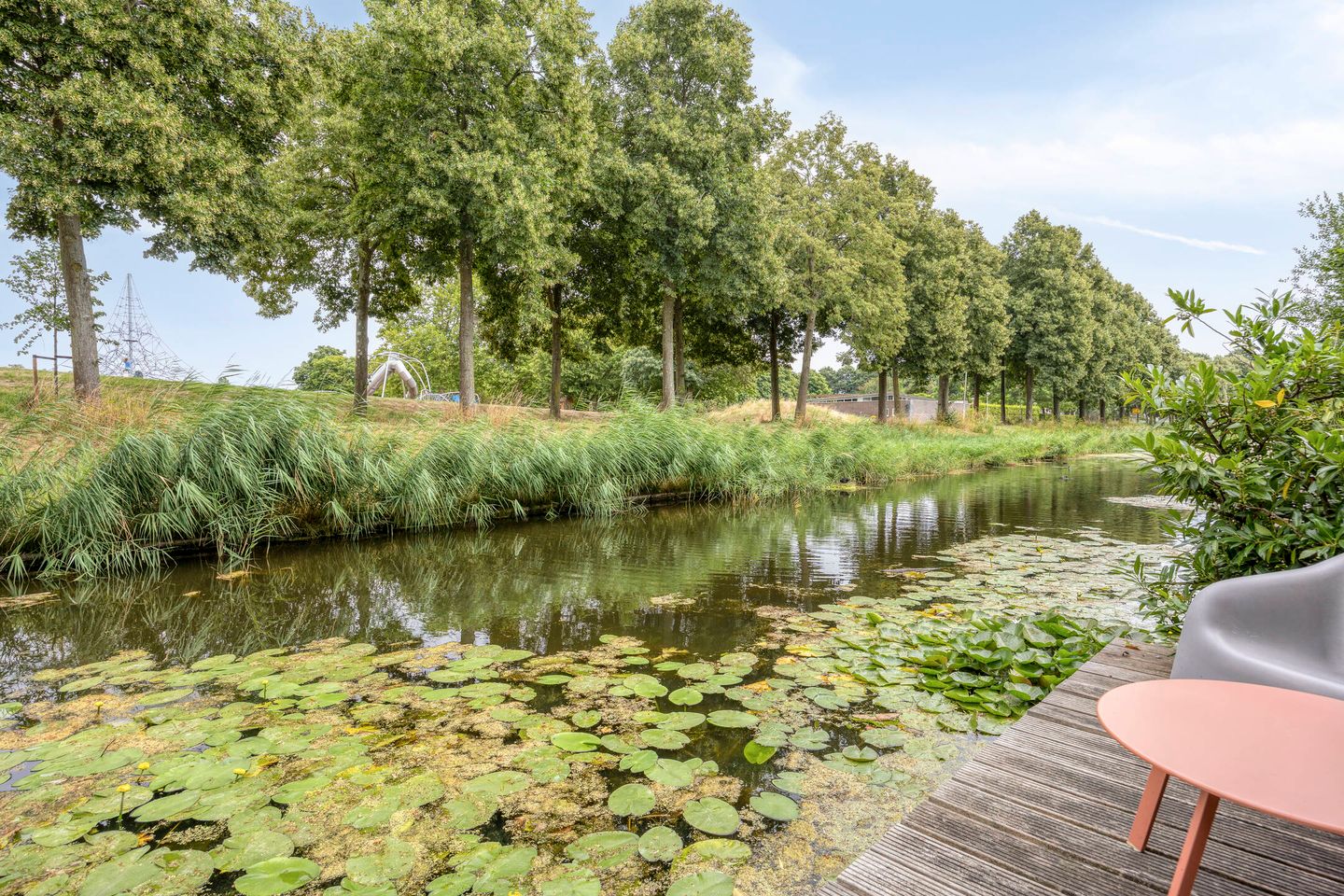 Photo 44 of Mahoniehout 8
