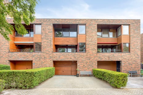 Mahoniehout thumbnail