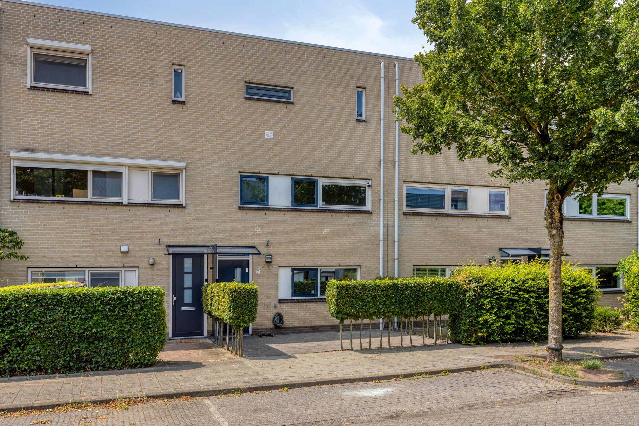 Grote Vos 7