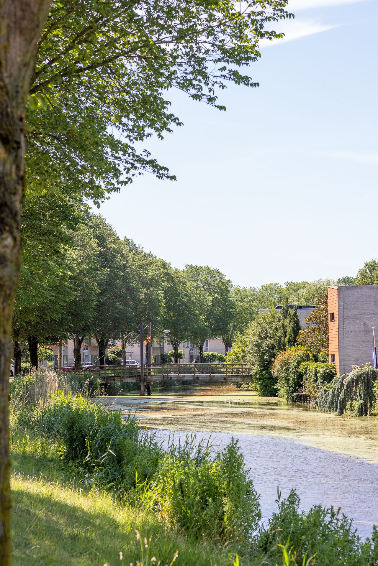 Photo 42 of Grooten Sloot 29