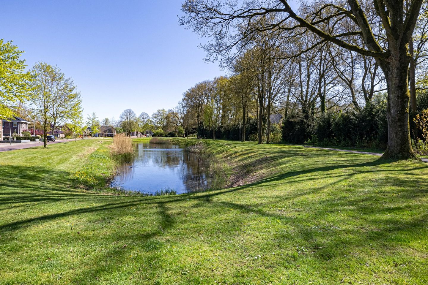 Foto 4 van Beukenlaan 12