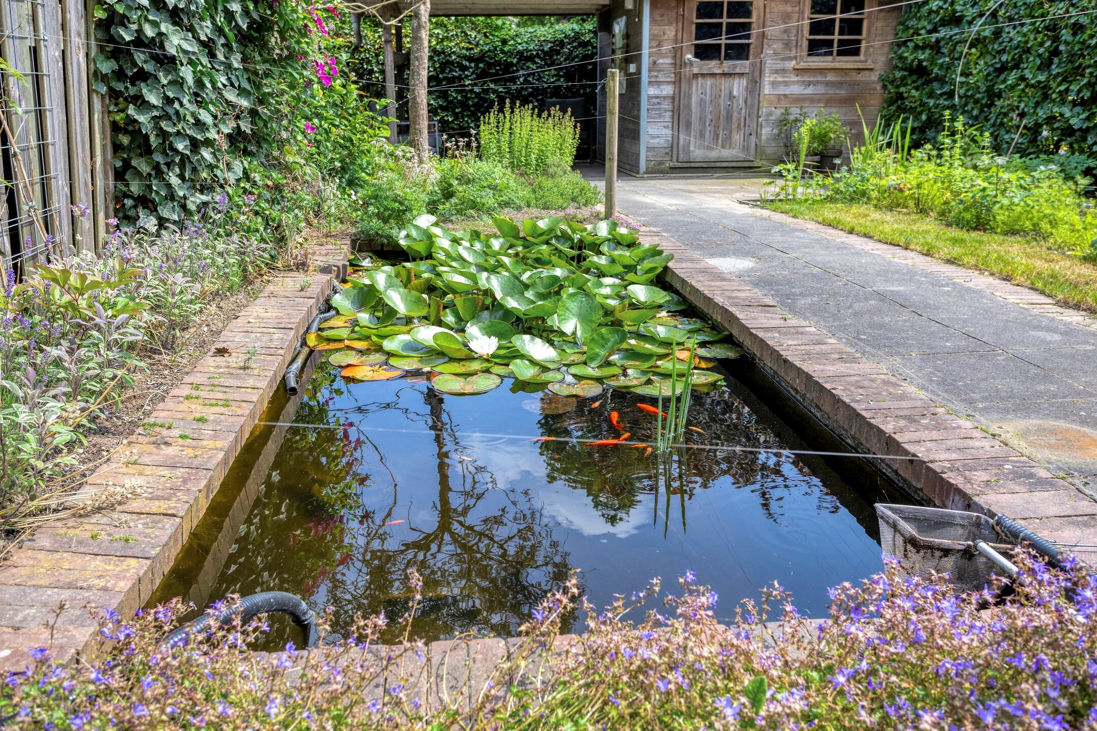 Photo 39 of Goudenregenplantsoen 22