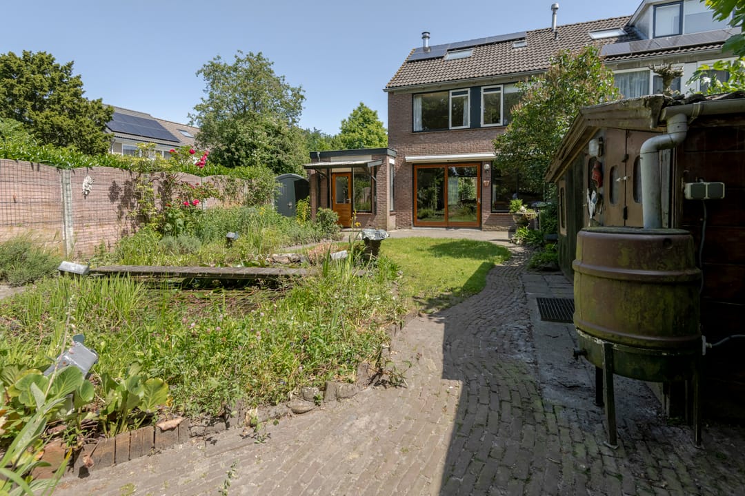 Foto 46 van Rietgors 60