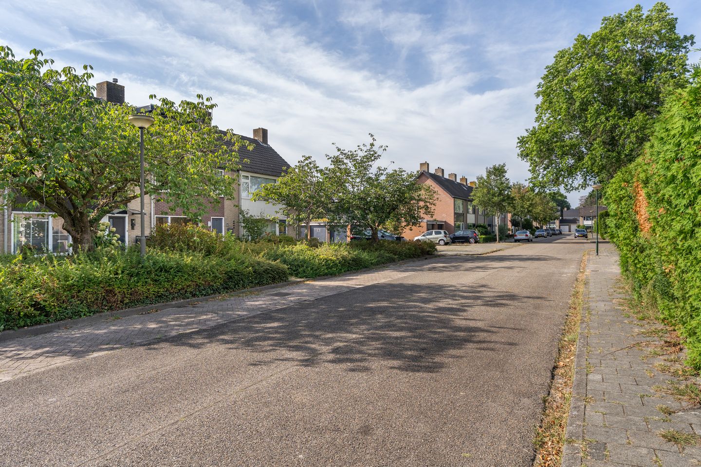 Foto 5 van Meidoornstraat 41