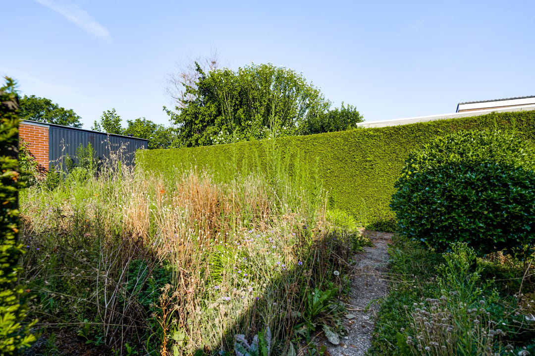 Photo 38 of Nieuwenheerd 13