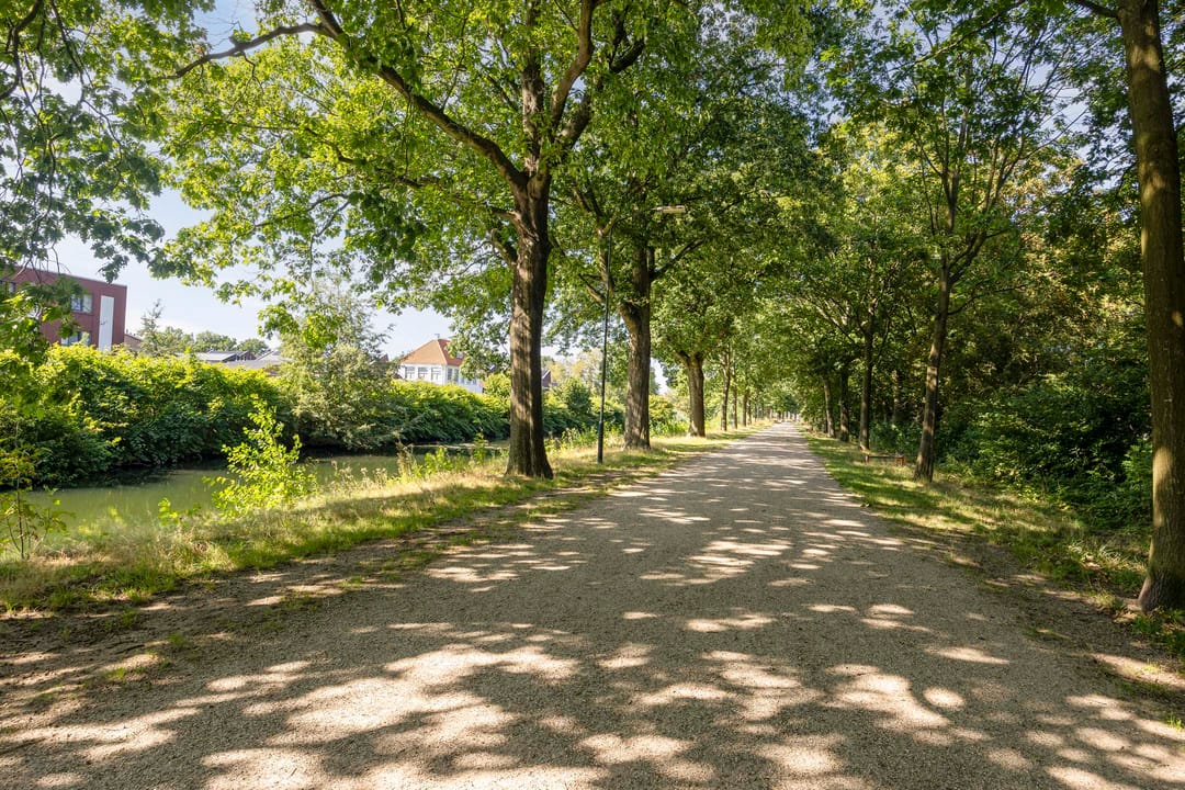 Foto 41 van Looiersdreef 671