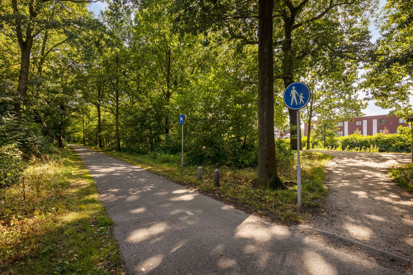 Foto 44 van Looiersdreef 671