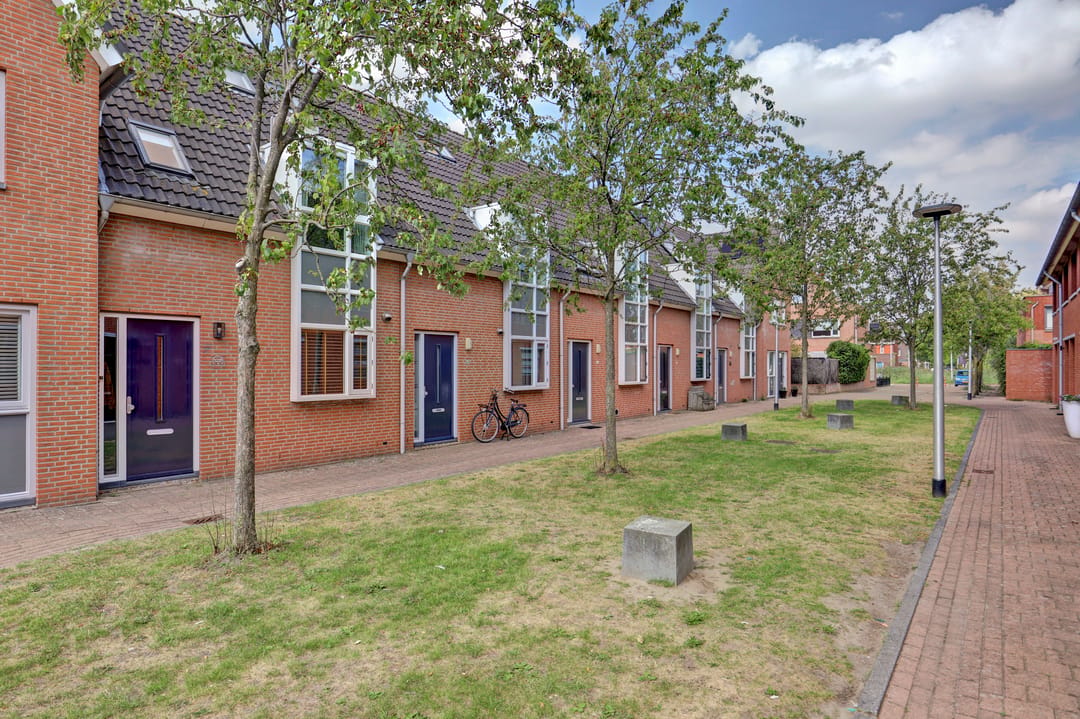 Foto 41 van Moerasvaren 52