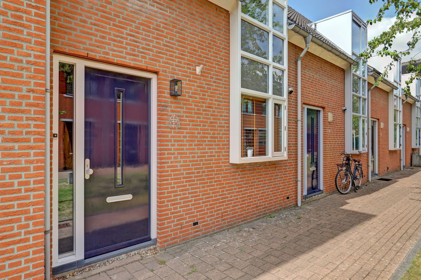 Foto 40 van Moerasvaren 52
