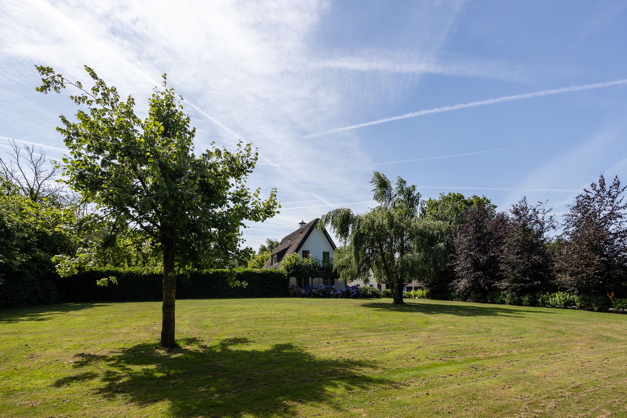 Photo 9 of Rijksweg 97
