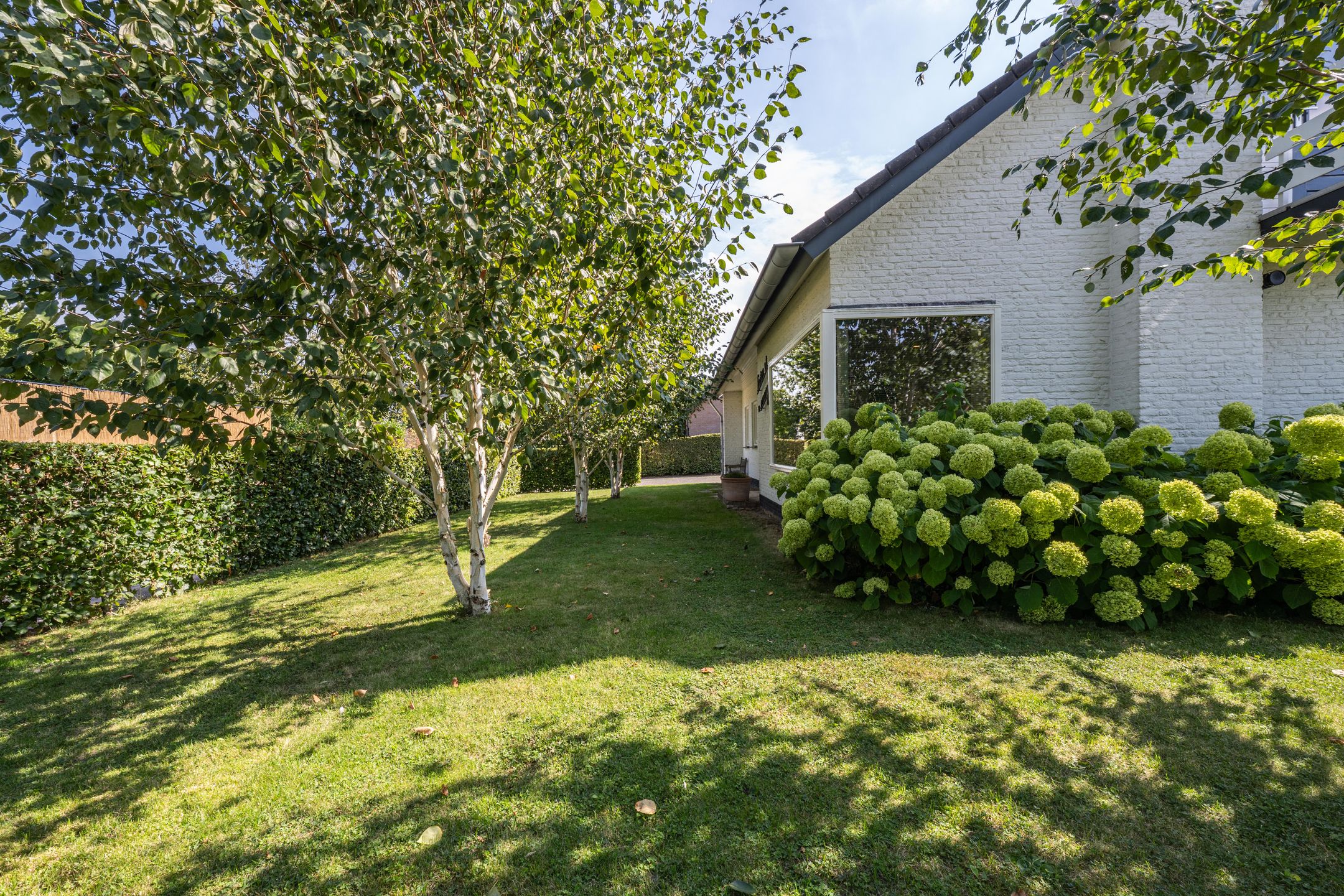 Photo 42 of Zeven geversstraat 10