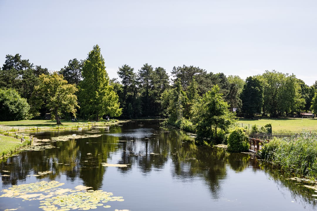 Photo 67 of Molenlaan 7