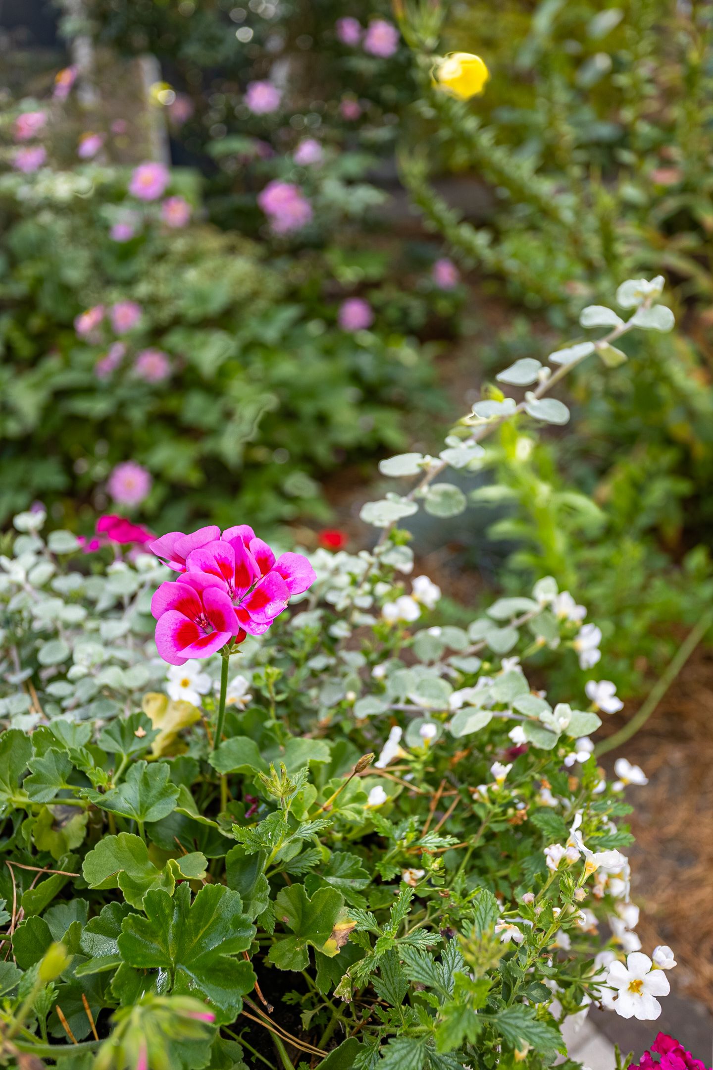 Foto 33 van De Brik 26