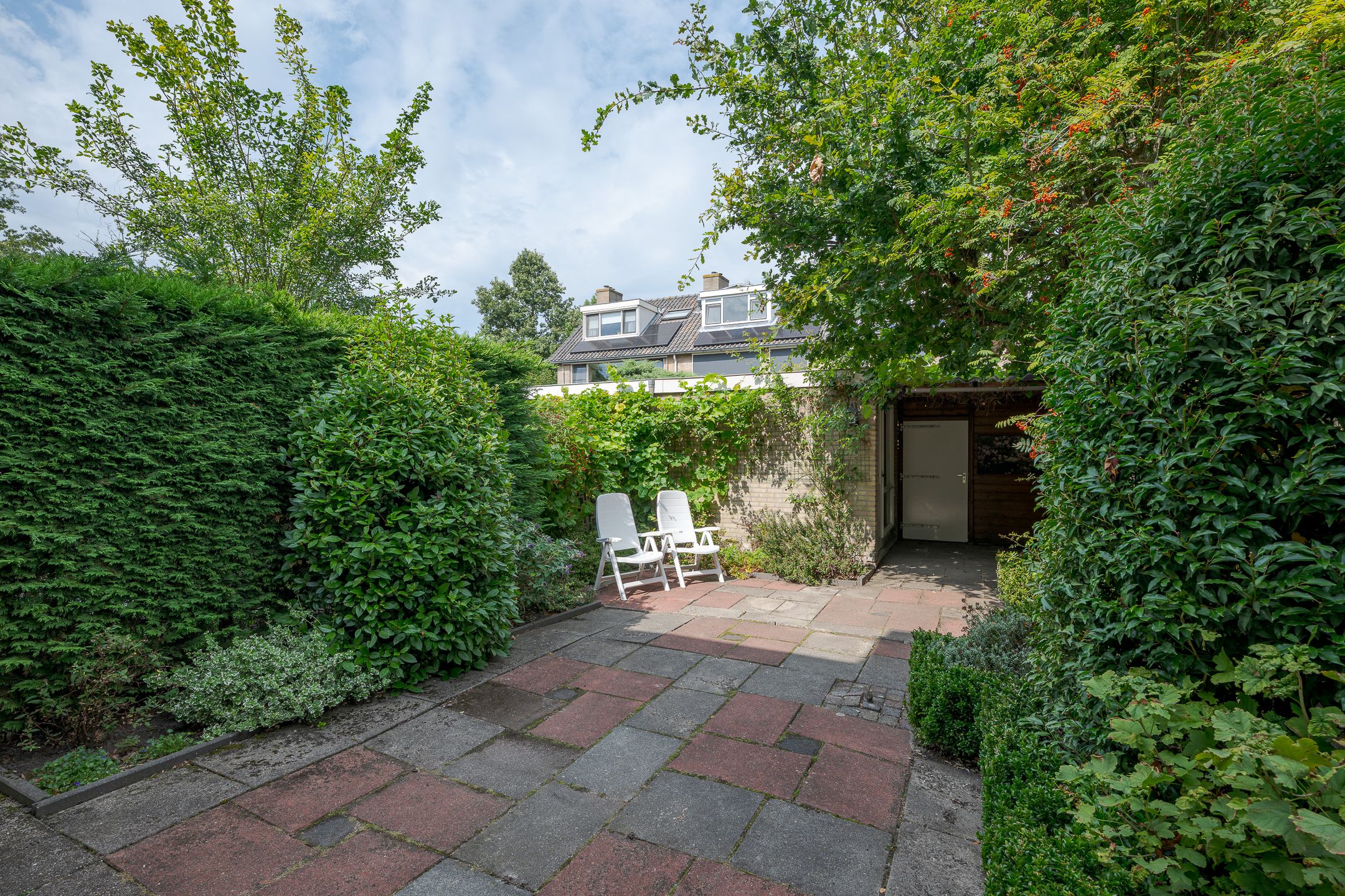 Photo 30 of Callenburghplantsoen 17