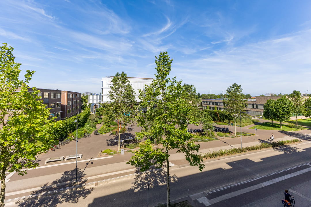 Photo 16 of Onderwijsboulevard 166