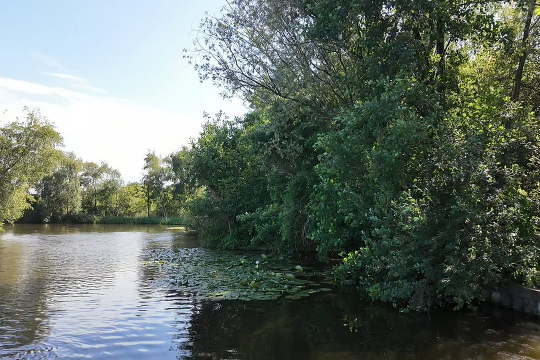 Foto 2 van Muyeveldse Wetering