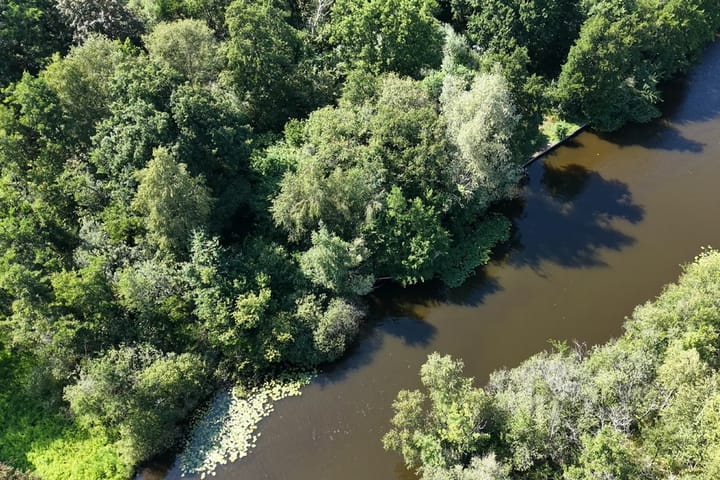 Foto 4 van Muyeveldse Wetering