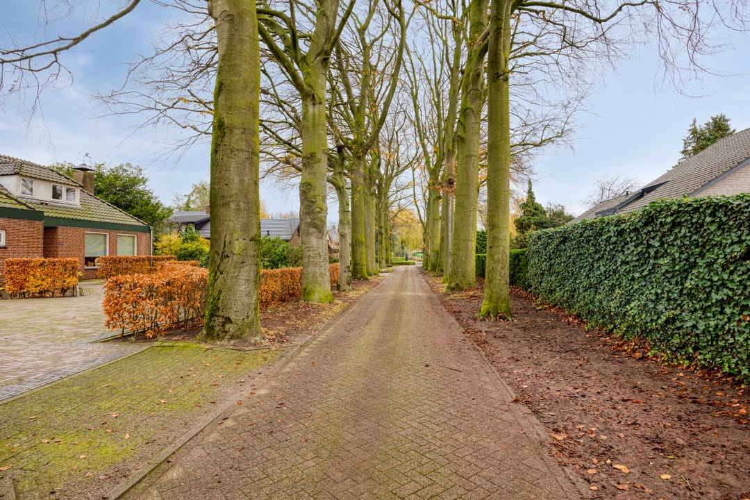 Photo 71 of Heilige Stoel 6705