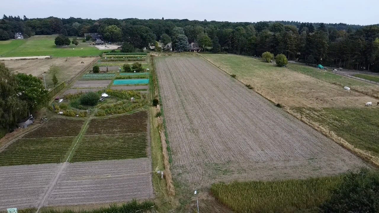Bekijk foto 5 van Oude Diedenweg
