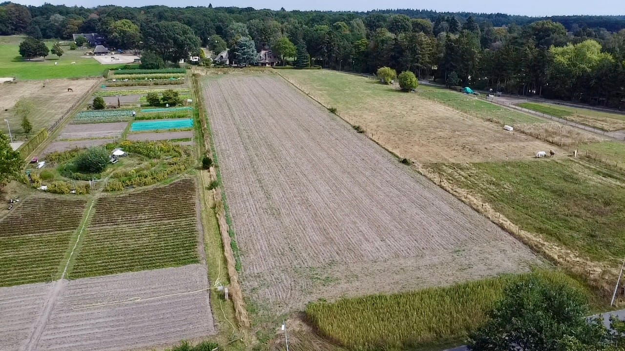 Bekijk foto 1 van Oude Diedenweg