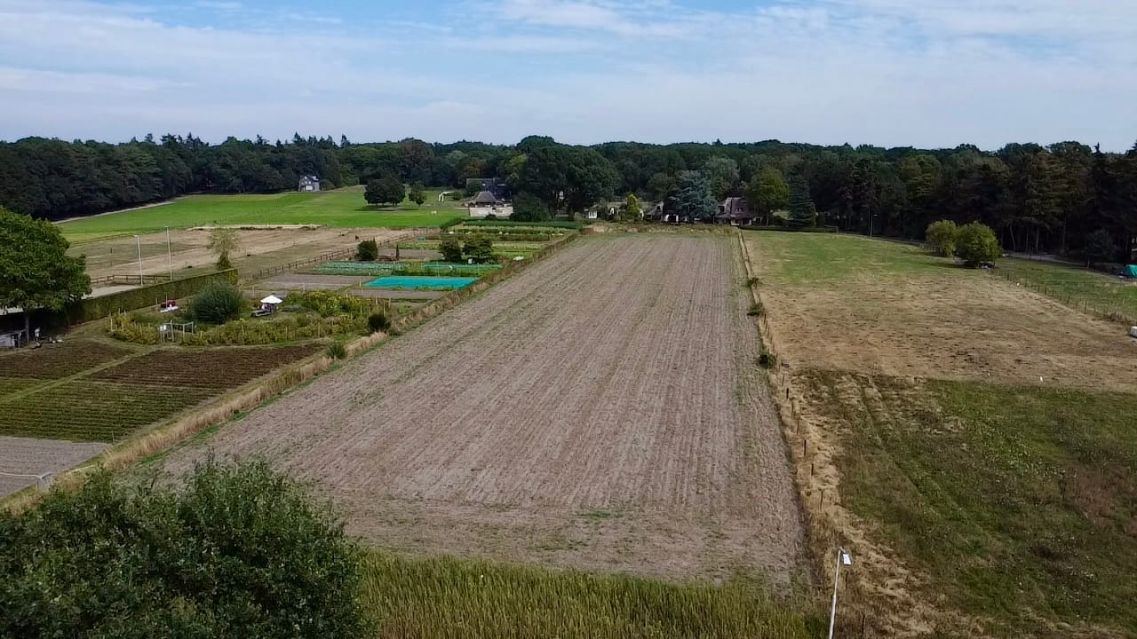 Bekijk foto 4 van Oude Diedenweg