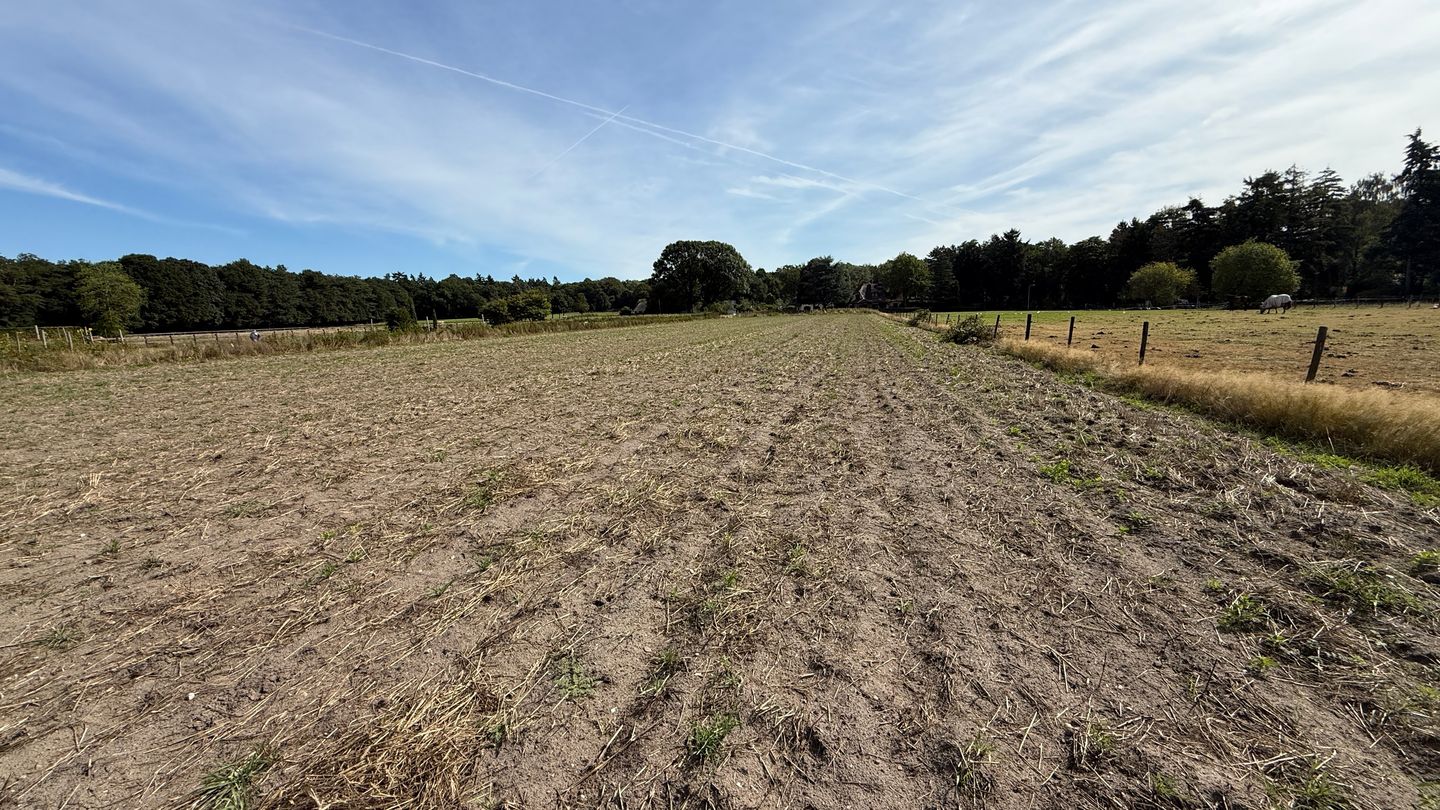 Oude Diedenweg - Wageningen - Afbeelding 7