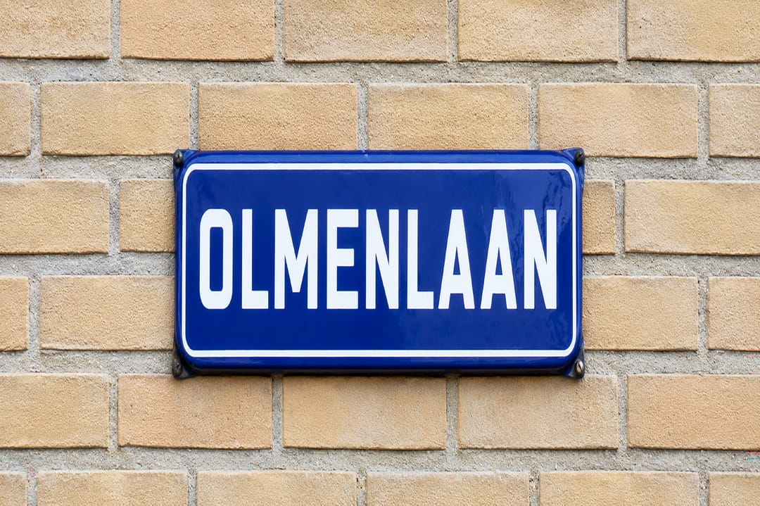Foto 43 van Olmenlaan 30
