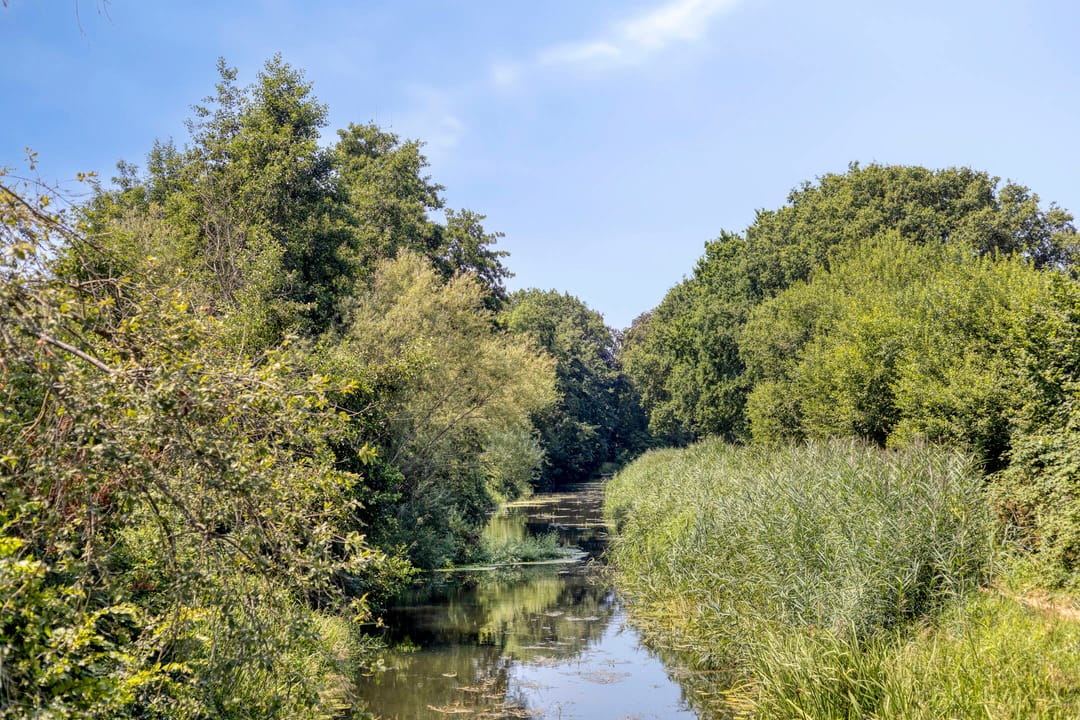 Foto 43 van Holmersweg 12