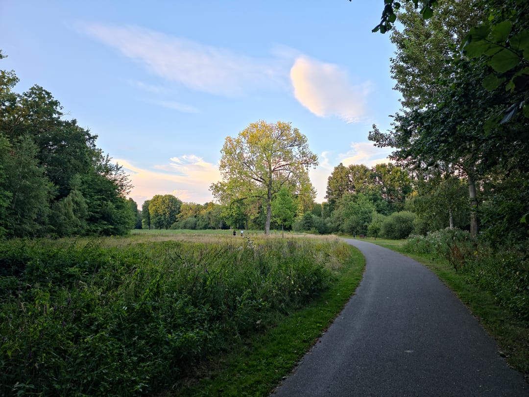 Photo 32 of Arendlaan 49