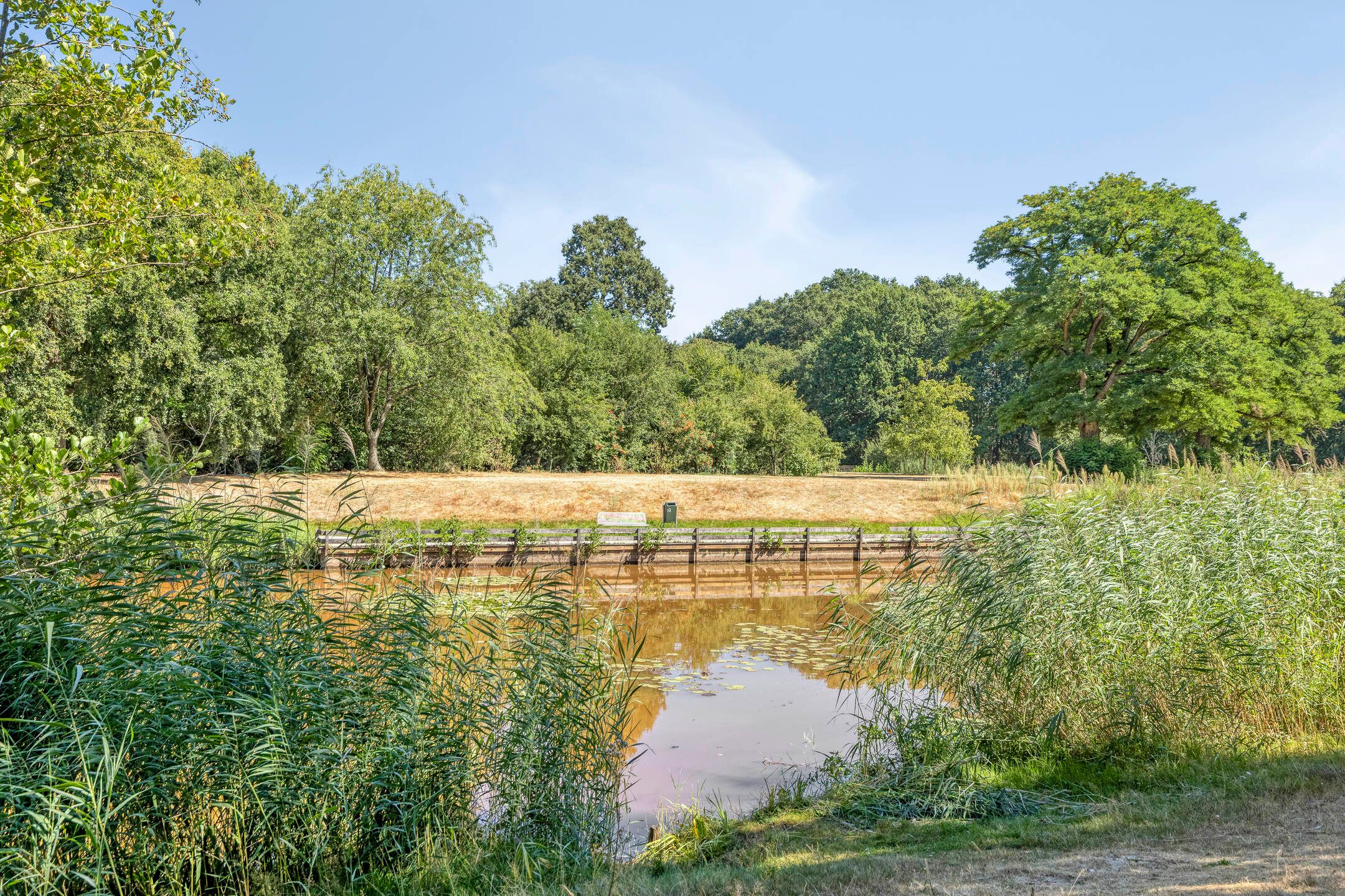 Foto 48 van Leeuweriklaan 1