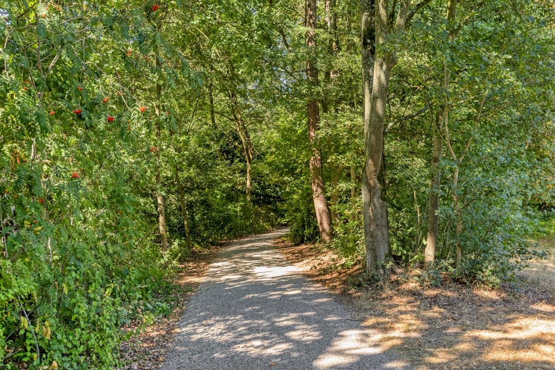 Foto 47 van Leeuweriklaan 1