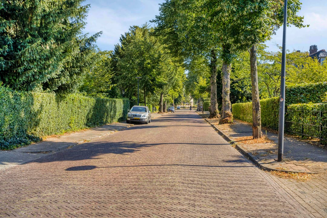 Photo 61 of Drienerparkweg 12